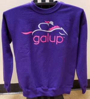 GalUp Crew Neck Sweatshirt Purple