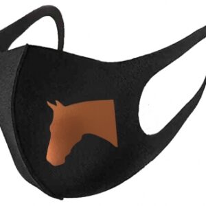 Horse Head Mask Copper