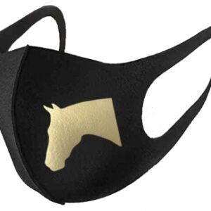 Horse Head Mask Gold