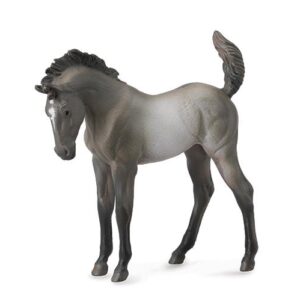 Mustang Foal Blue Roan