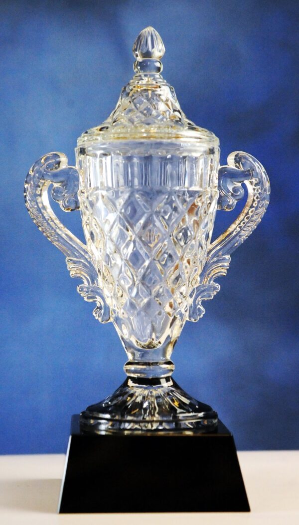 THE CHAMPION CUP TROPHY