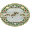 BroncRiding