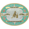 DOWN THE STRETCH HORSE RACING AND RODEO TROPHY BUCKLE - Image 9