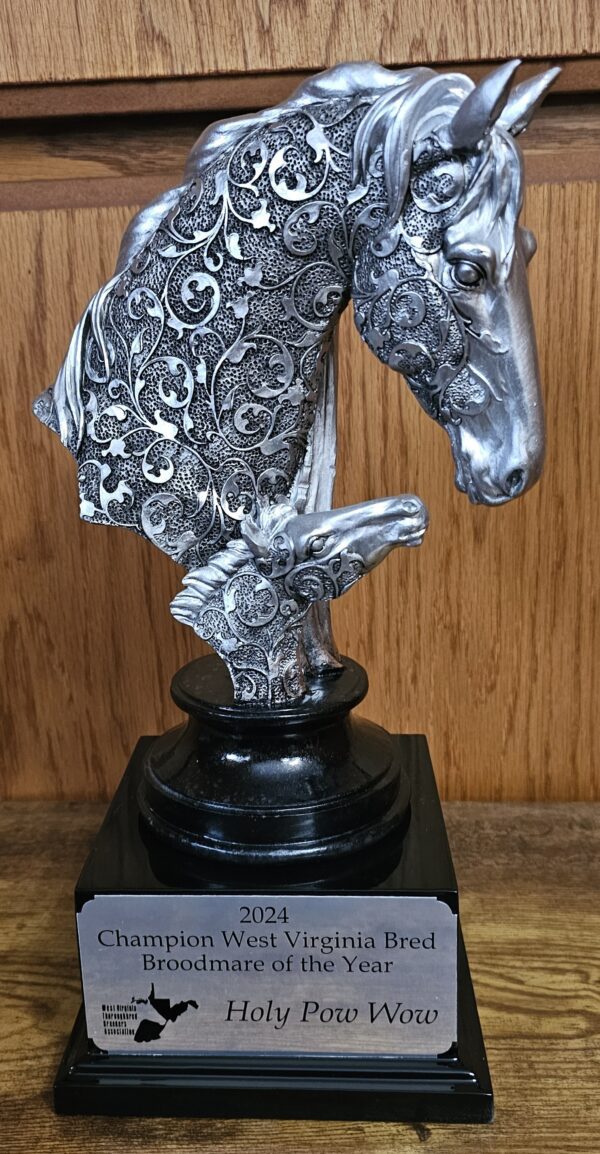 MARE AND FOAL BUST TROPHY