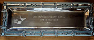 EQUESTRIAN SNAFFLE BITS TRAY TROPHY